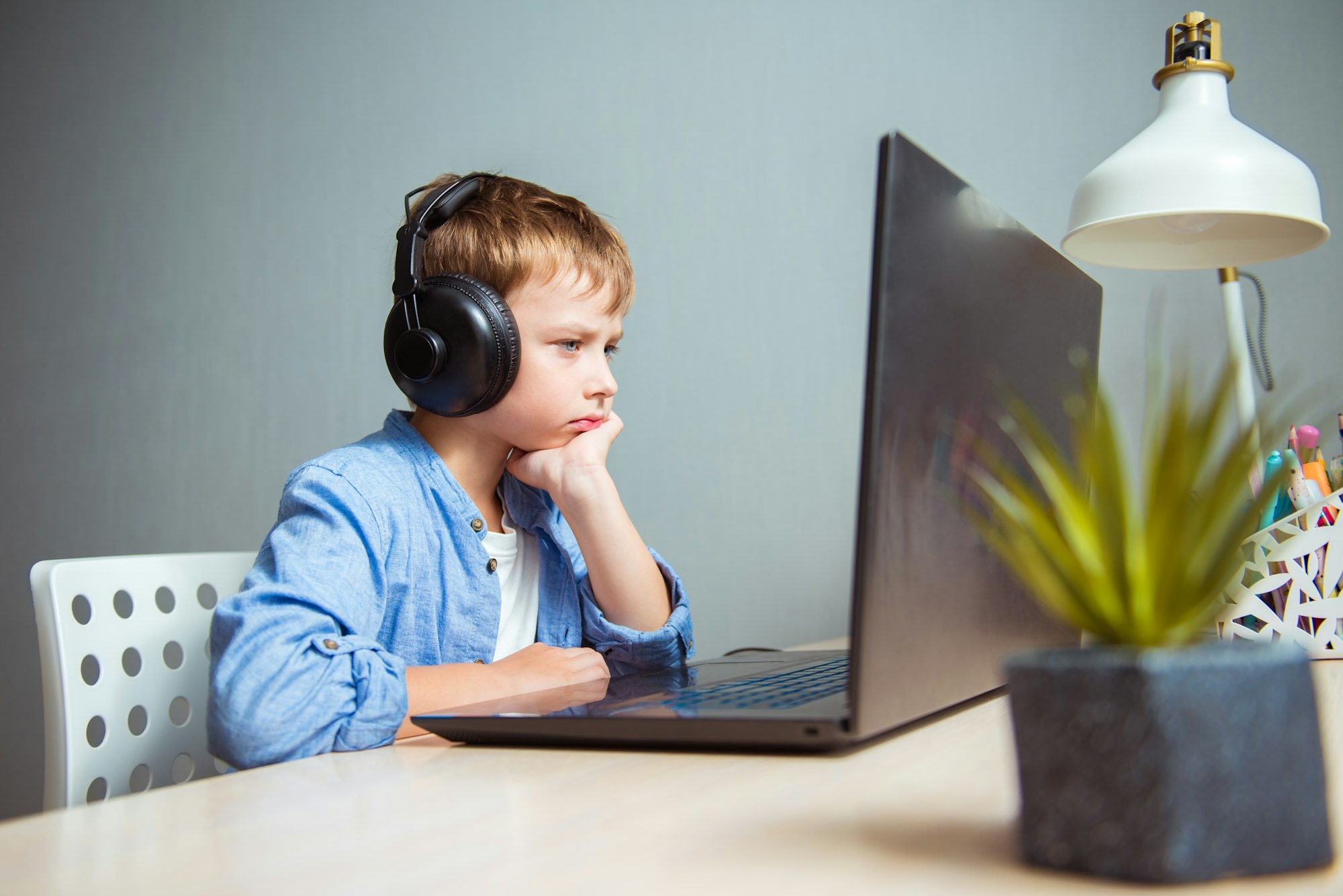 What should and should not be done in an online class
