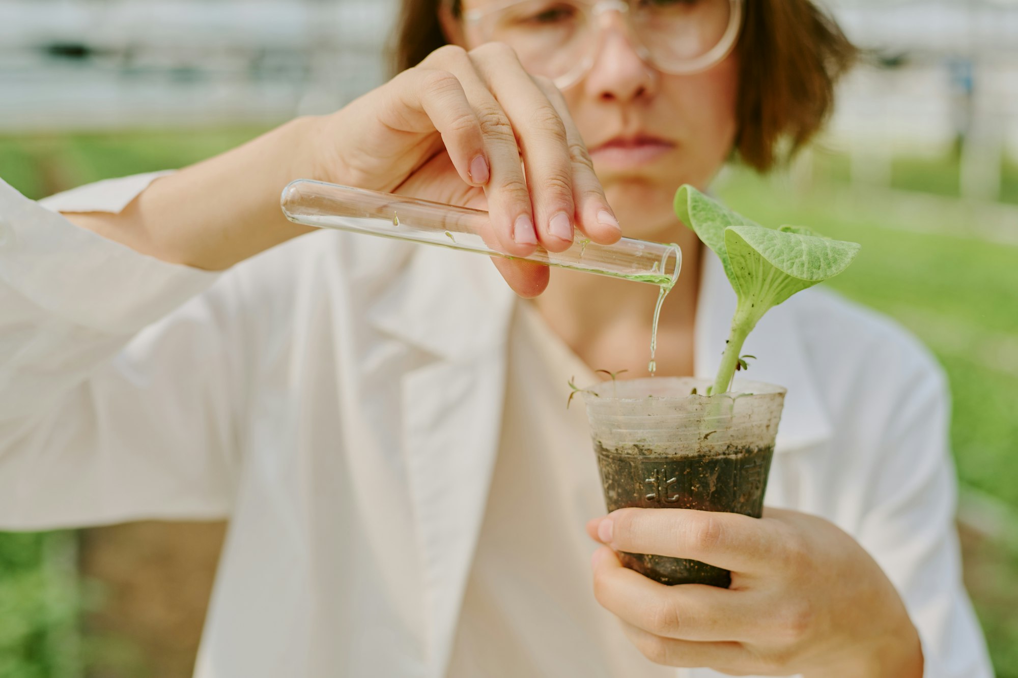 environmental science degrees online