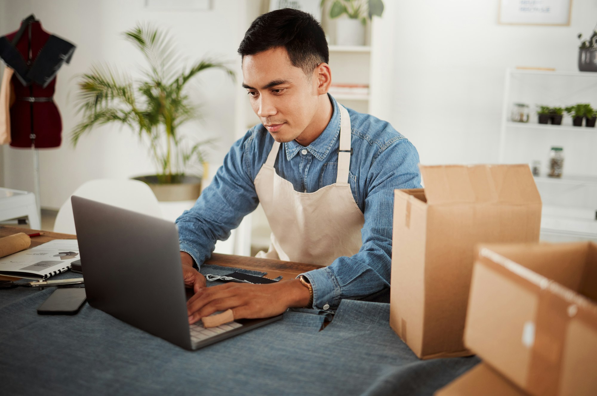 fashion online degrees