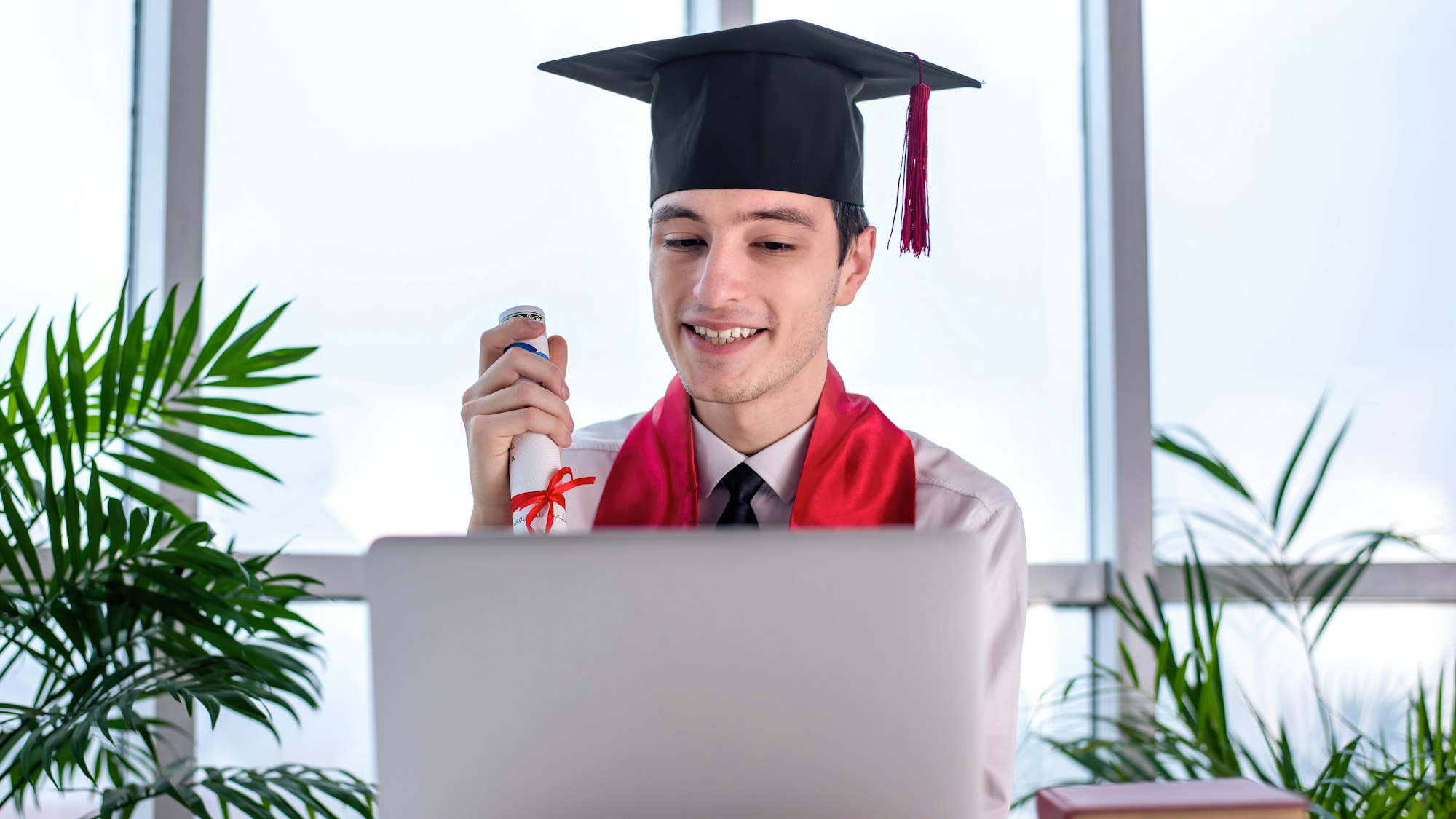 montana online degrees
