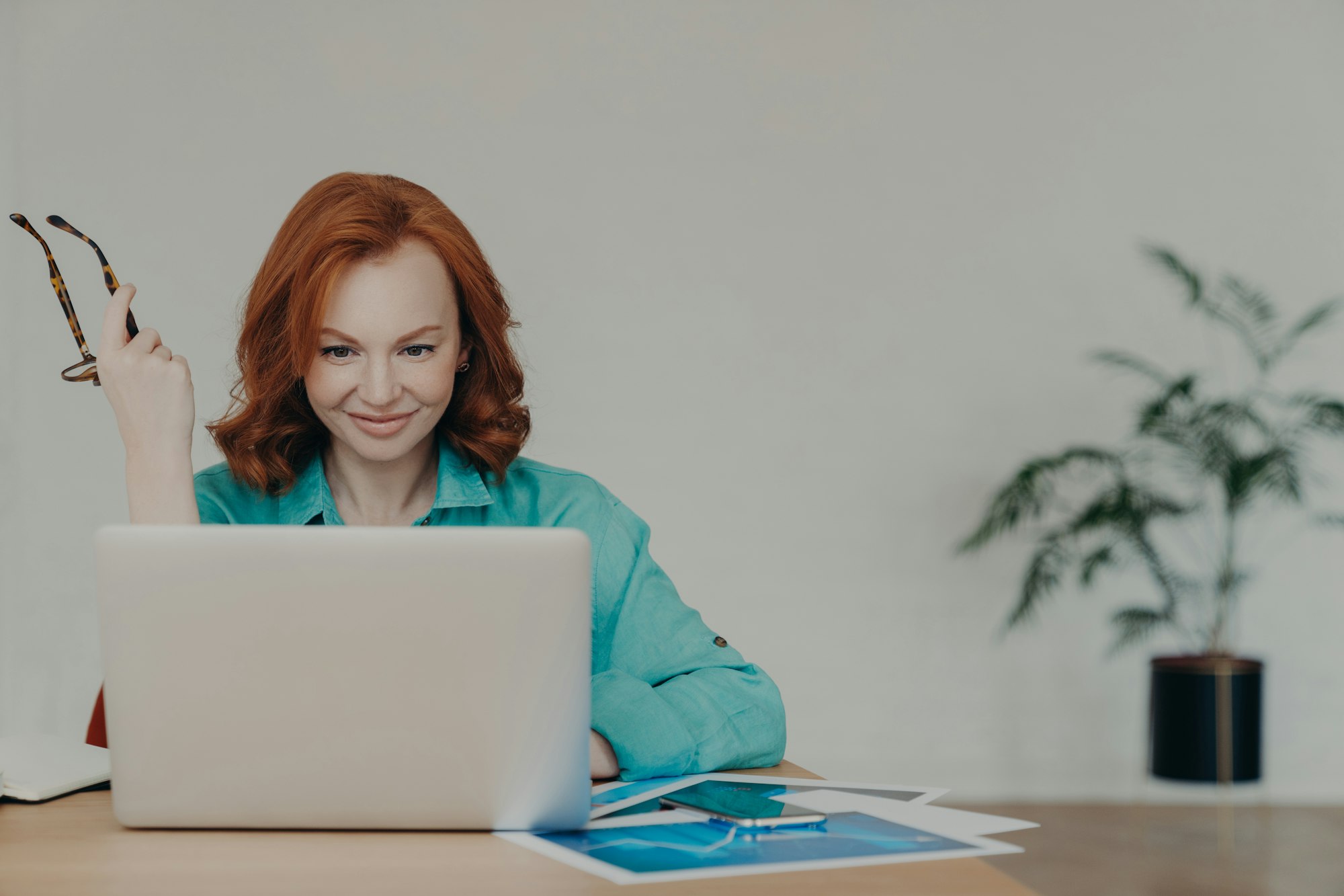 economics degrees online