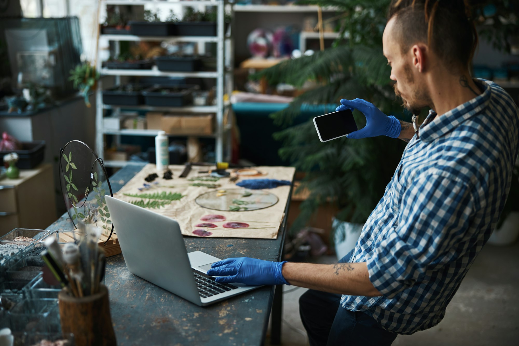 herbalist degrees online