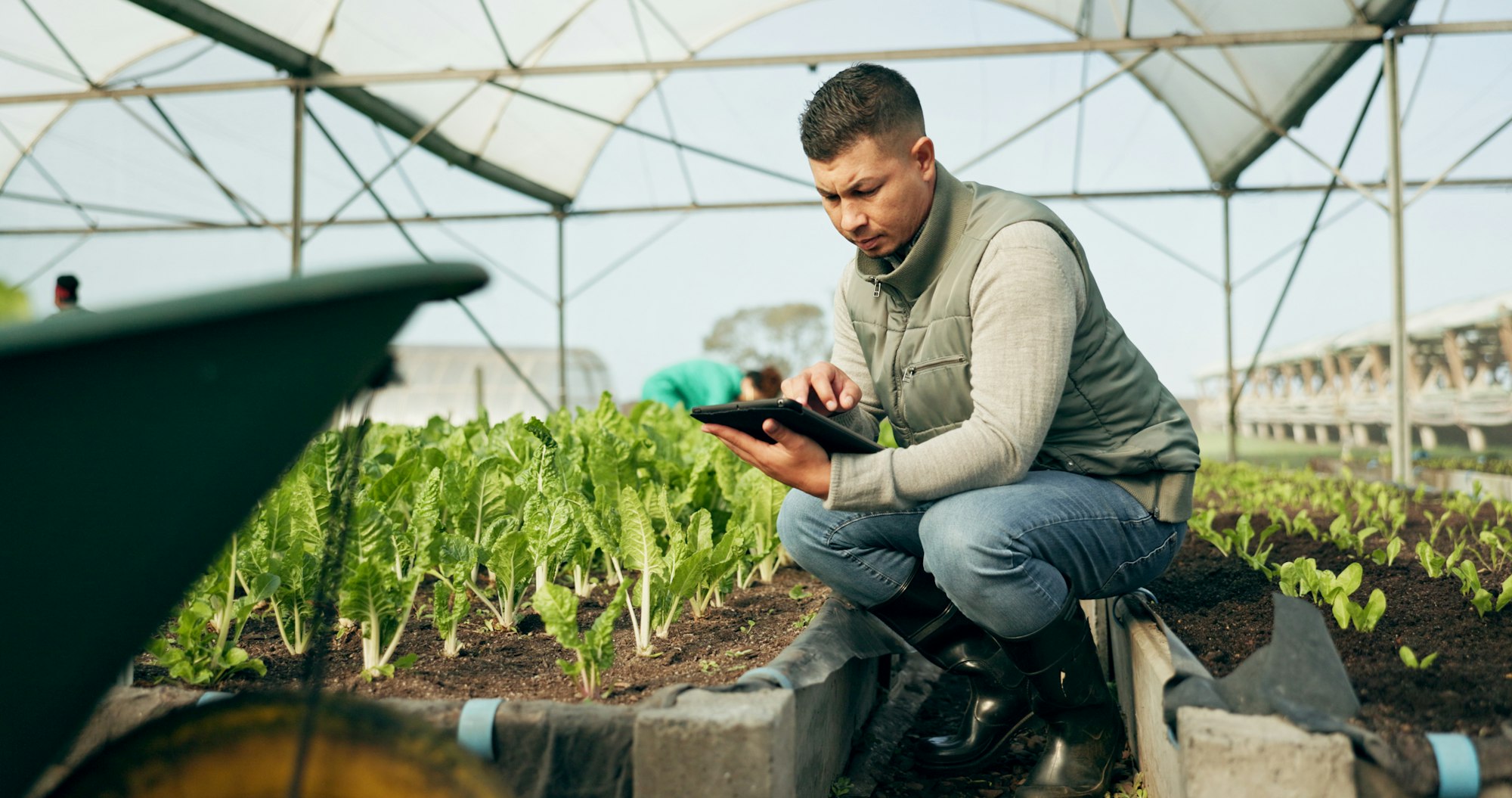 farming degrees online