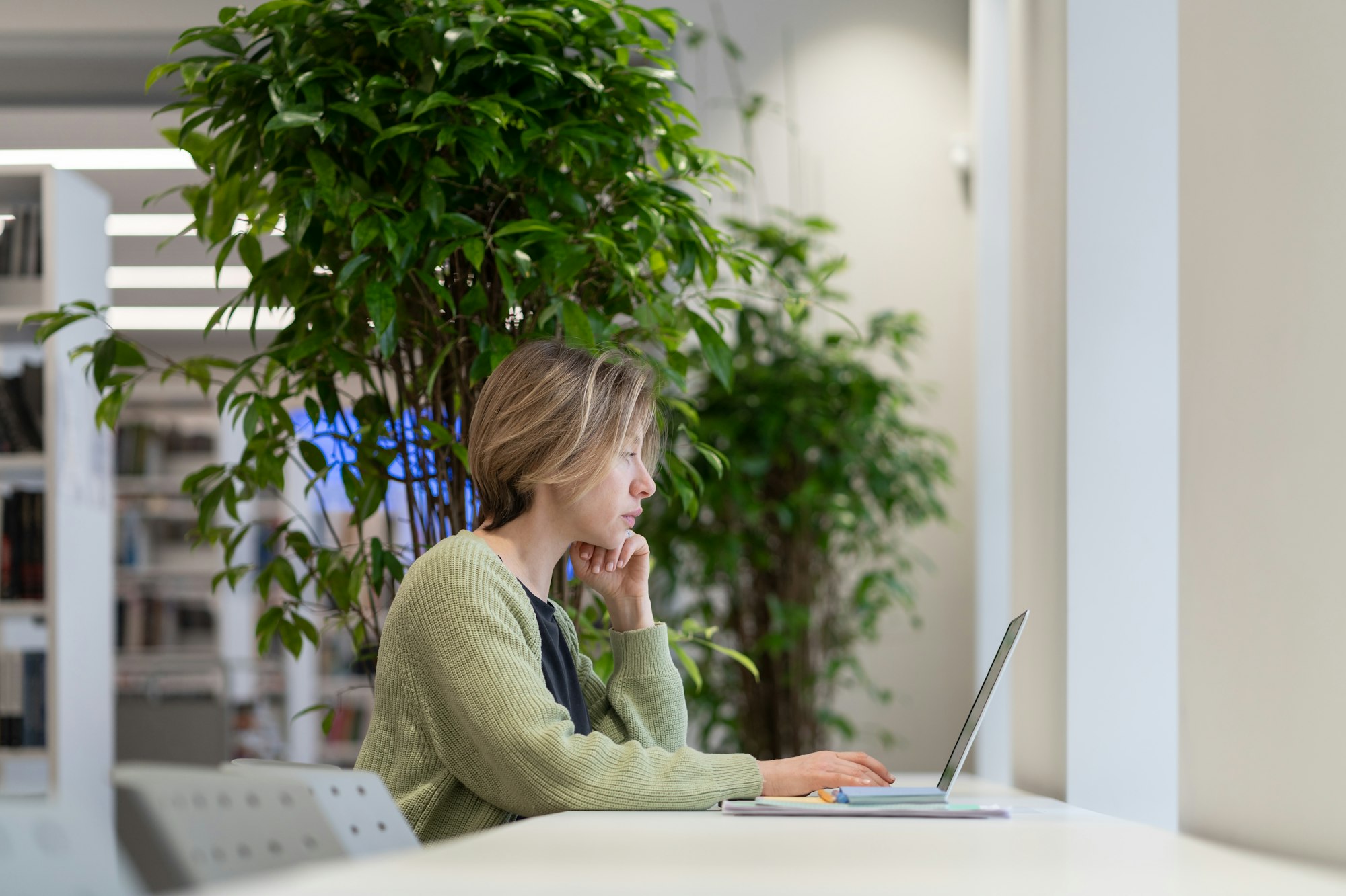 full sail online degrees
