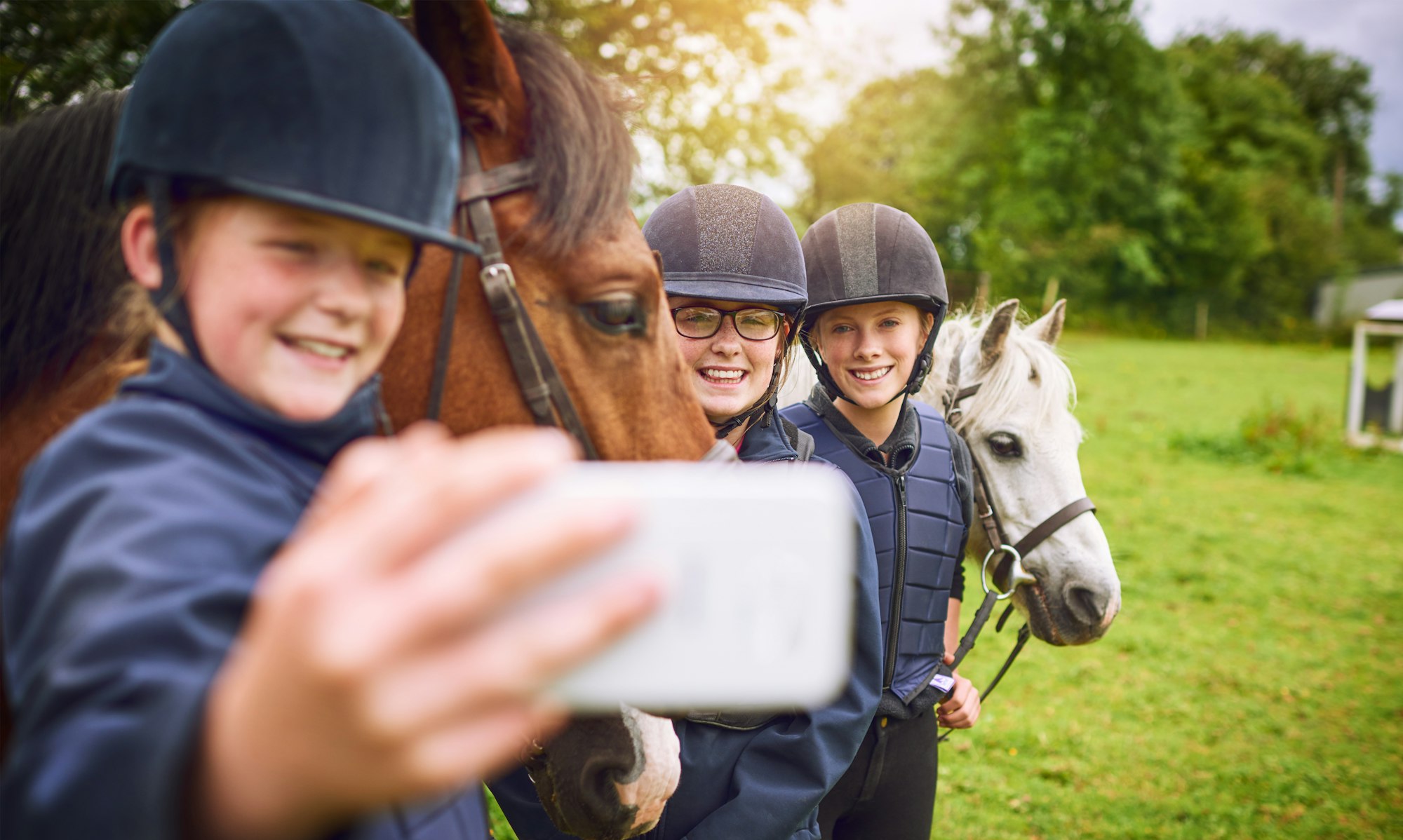 horse degrees online
