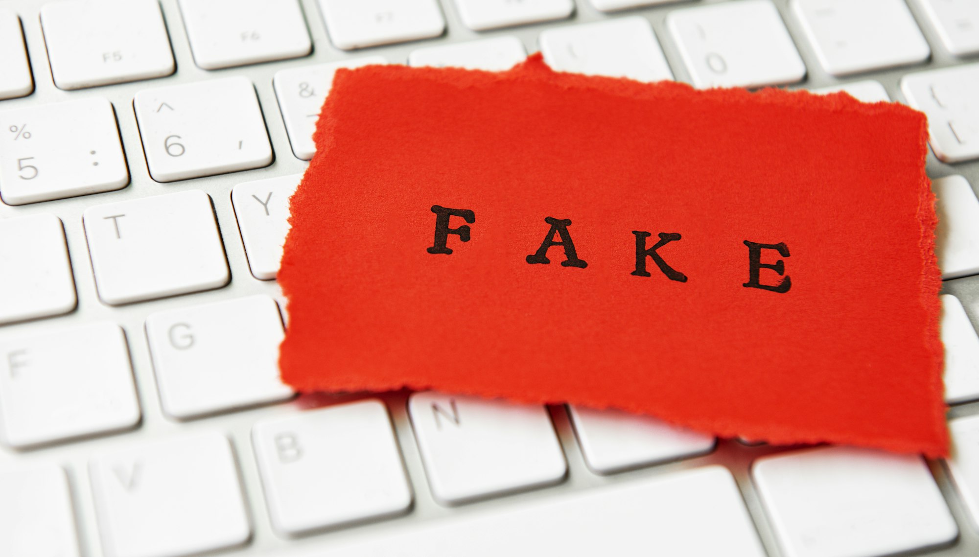 fake degrees online