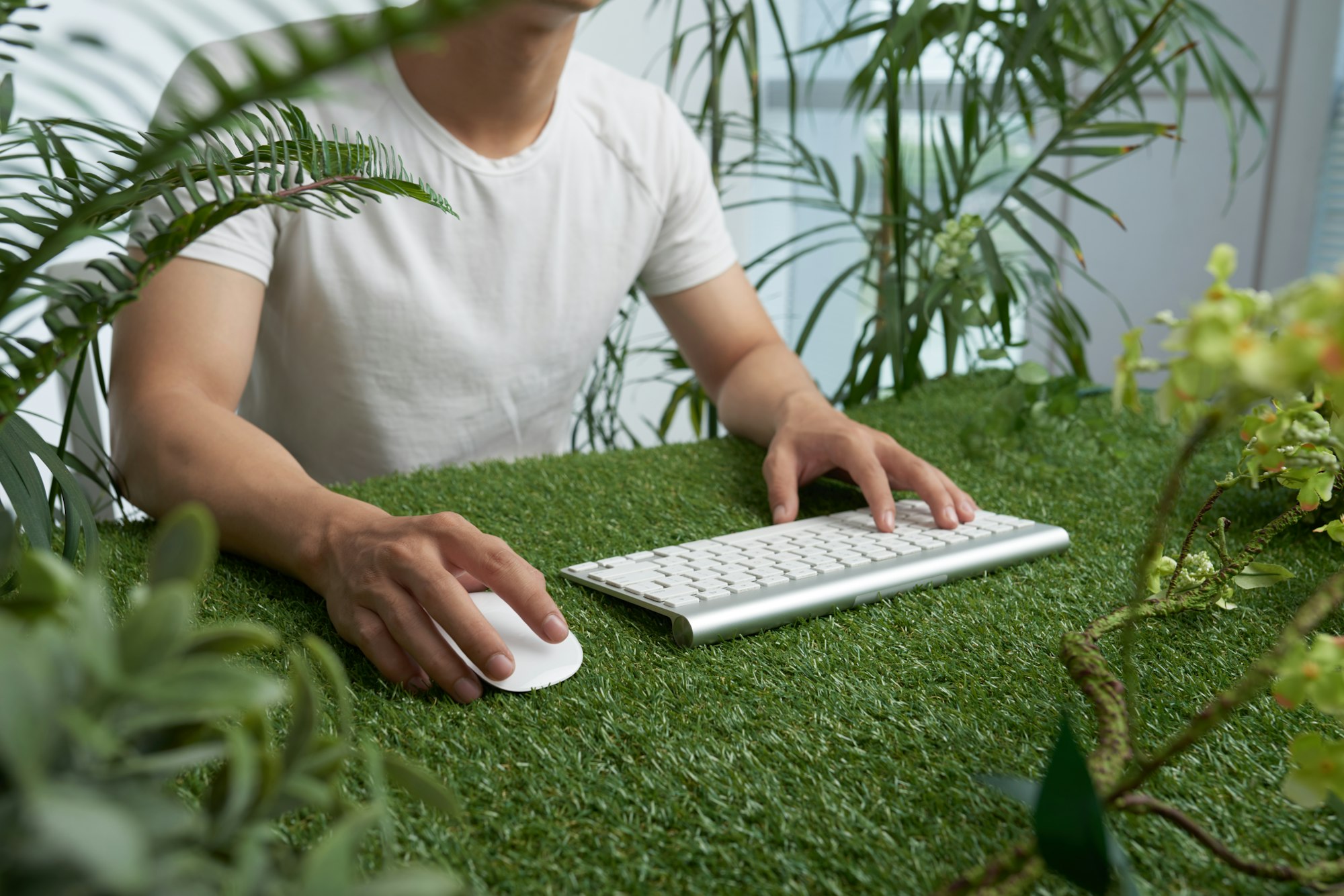 environmental online degrees