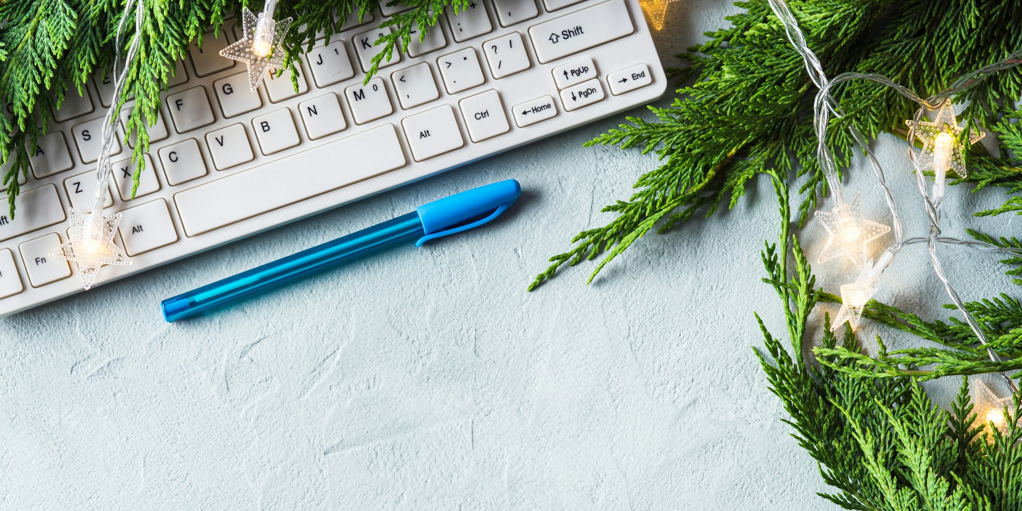 lone star online degrees