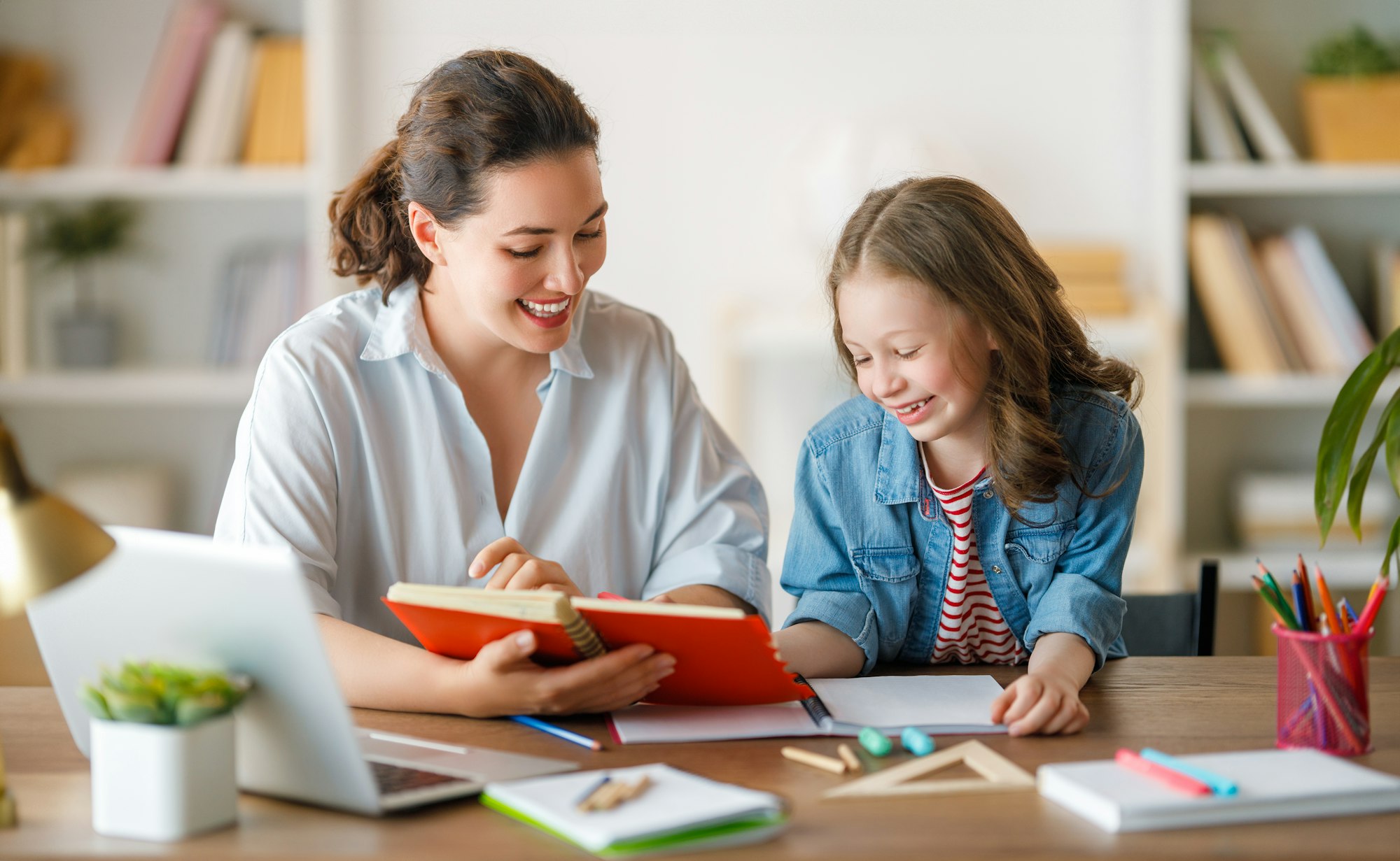 online bachelors education degree